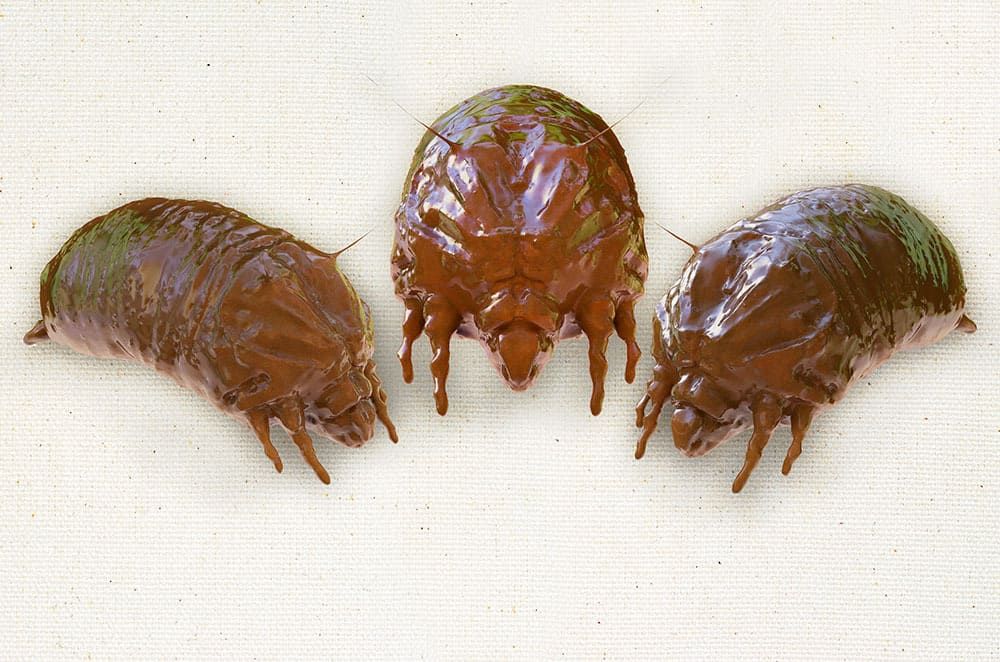 Complete guide to dust mites elimination and control