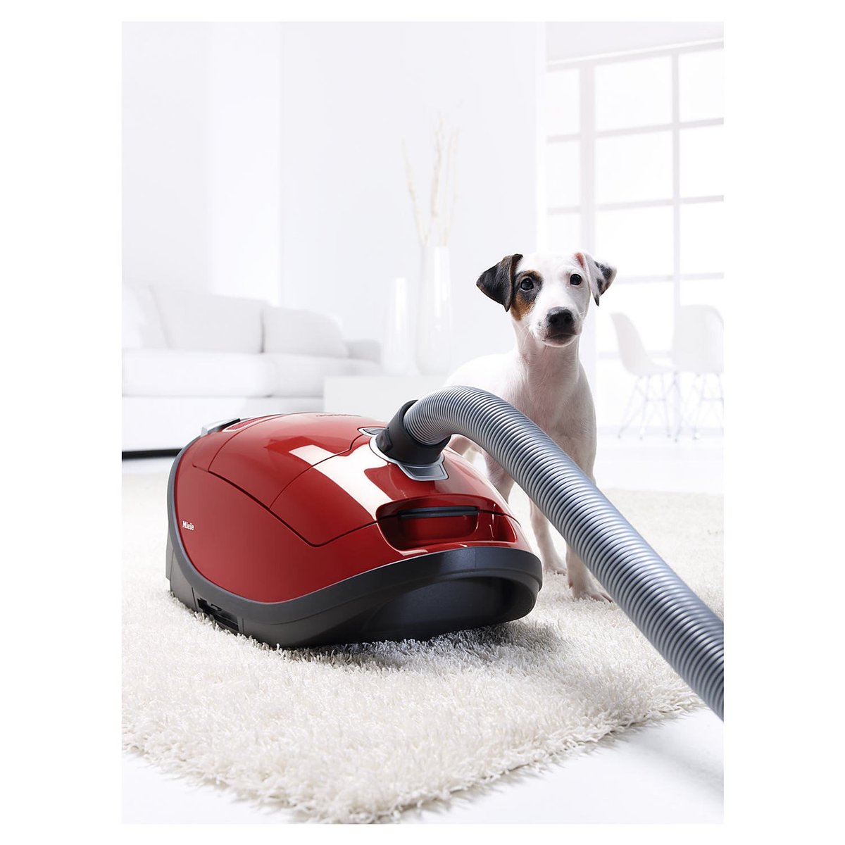 Miele Complete C3 Cat & Dog canister vacuum cleaner